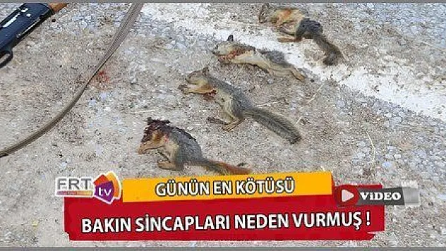 SİNCAP KATLİAMI YAPTI