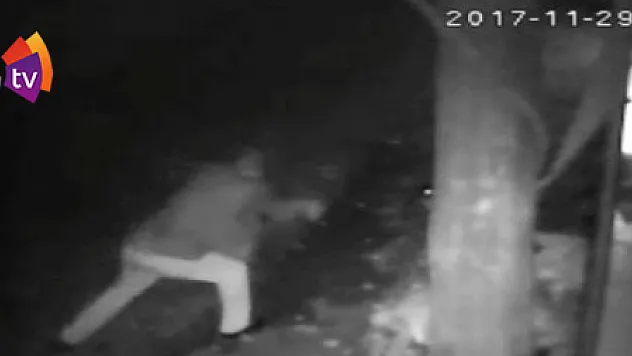 Demir sopa ile köpeği dövdü