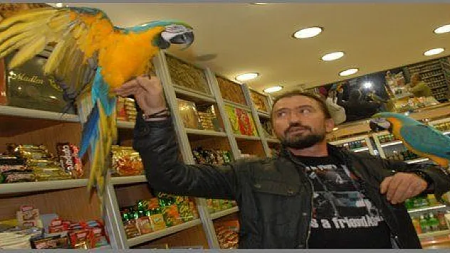  ÇİFTE PAPAĞANLA GEZİYOR (görüntülü)