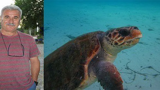 Denizciler Derneği Başkanı caretta caretta saldırısına uğradı
