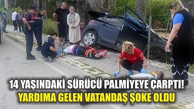 14 yaşındaki sürücü palmiyeye çarptı! Yardıma gelen vatandaş şoke oldu