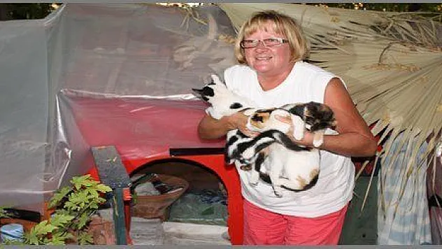 YABANCILARDAN KEDİLERE EVLER (görüntülü)