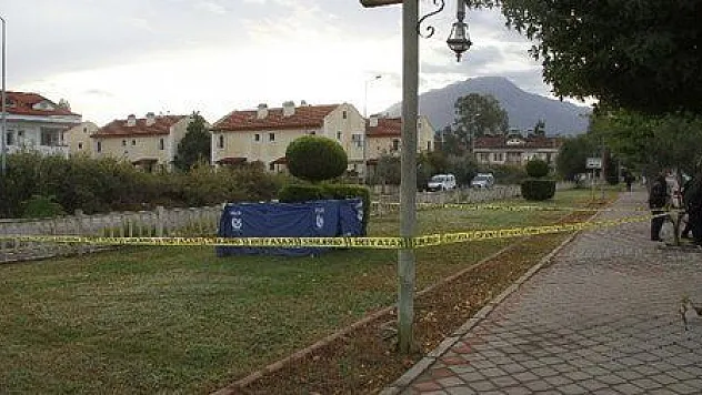 Paraşüt pilotu yol kenarında ölü bulundu