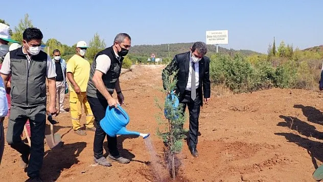 15 Temmuz kahramanı Halisdemir ormanına fidan dikimi