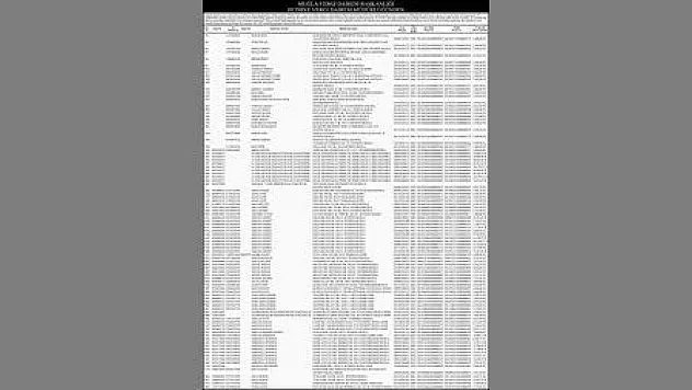 MUĞLA VERGİ DAİRESİ BAŞKANLIĞI FETHİYE VERGİ DAİRESİ MÜDÜRLÜĞÜ 1