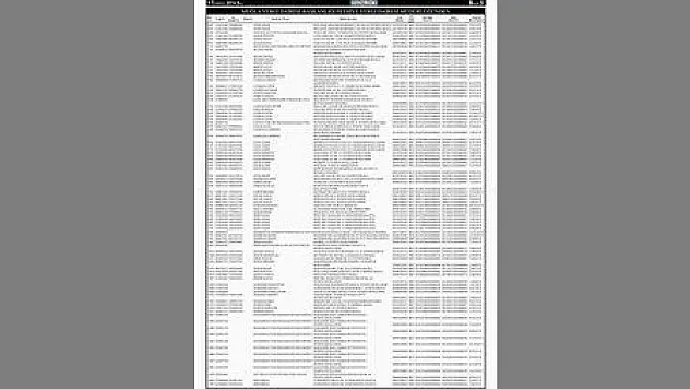 MUĞLA VERGİ DAİRESİ BAŞKANLIĞI FETHİYE VERGİ DAİRESİ MÜDÜRLÜĞÜ 2