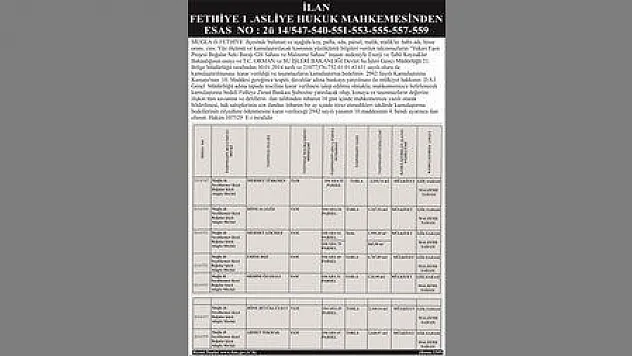 FETHİYE 1.ASLİYE HUKUK MAHKEMESİNDEN