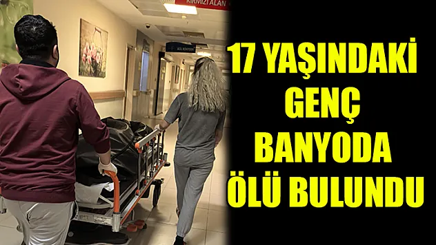 17 Yaşındaki Genç Banyoda Ölü Bulundu