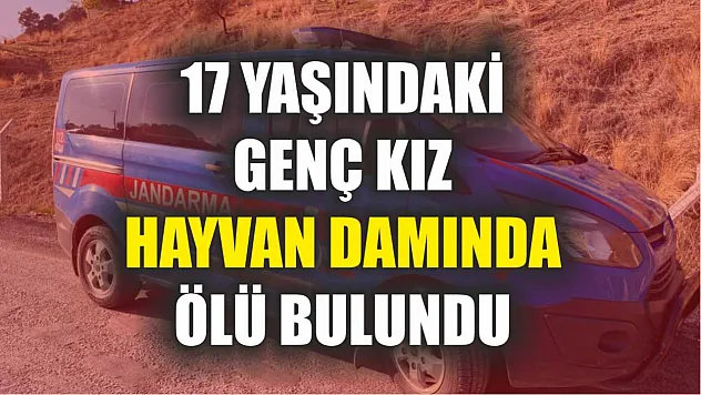 17 yaşındaki genç kız hayvan damında ölü bulundu
