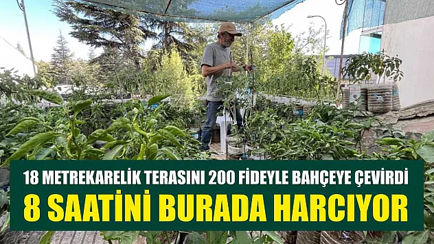 18 metrekarelik terasını 200 fideyle bahçeye çevirdi, 8 saatini burada harcıyor