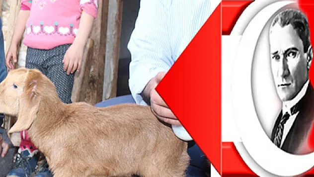 BİR KEÇİ, BEŞİZ DOĞURDU