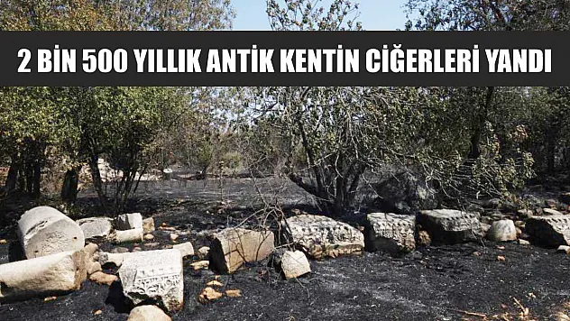 2 bin 500 yıllık antik kentin ciğerleri yandı