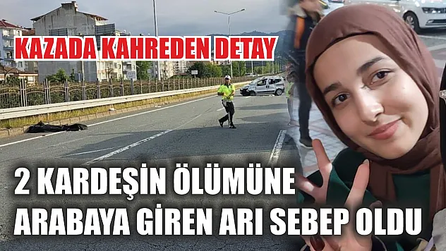 2 kardeşin ölümüne arabaya giren arı sebep oldu
