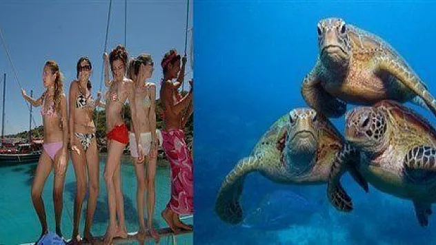 Orak Adası'na ziyaretler yasaklanabilir