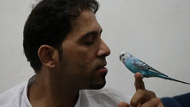 'Başkan Tayyip Erdoğan' diyen muhabbet kuşu