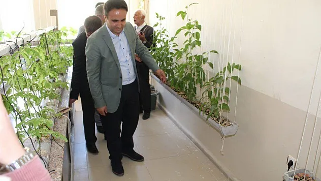 Çaldıranlı öğrencilerden 'Topraksız Tarım' projesi