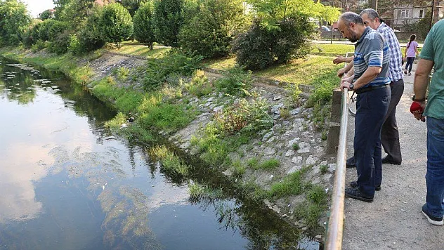 Deredeki balık ölümlerine vatandaşlardan tepki