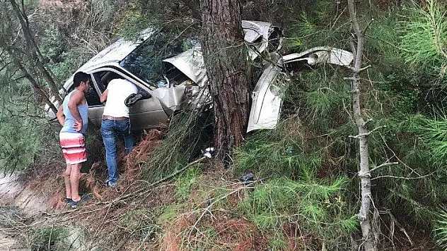 Alkollü sürücü ağaca çarptı