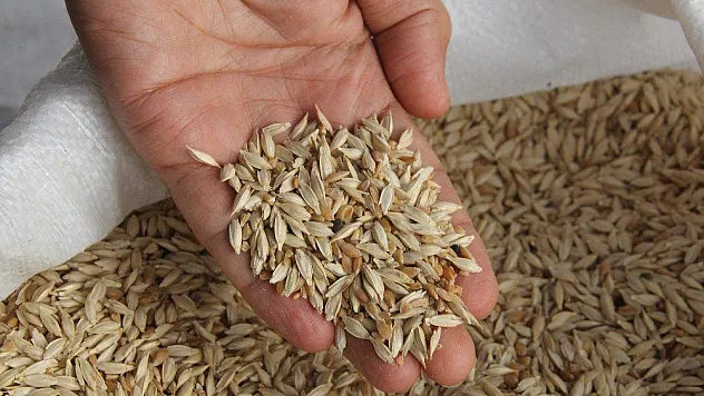 Önder çiftçilerden 'Hitit' buğdayına destek