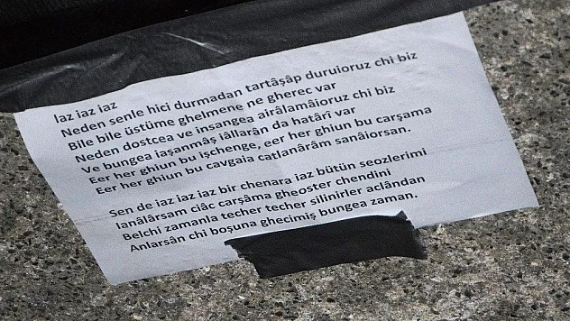 Inna, Ajda Pekkan'ın 'Yaz yaz yaz' şarkısını kopya çekerek seslendirdi