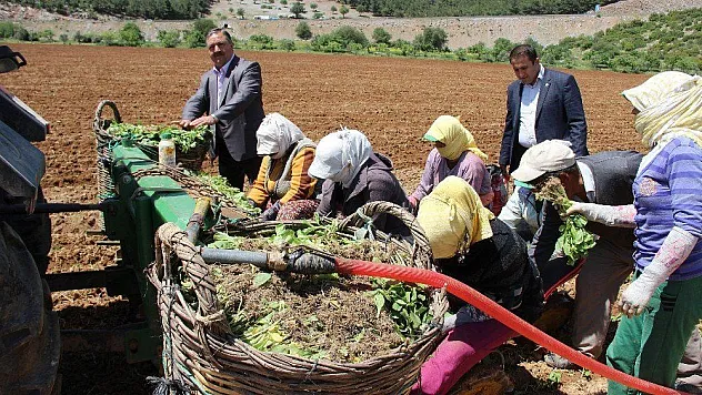 Baştuğ, 'Çiftçilerimize zirai alet hibe desteği şart'