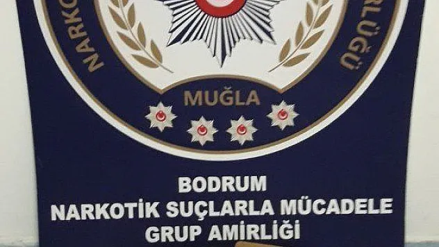 Kargodan uyuşturucu çıktı