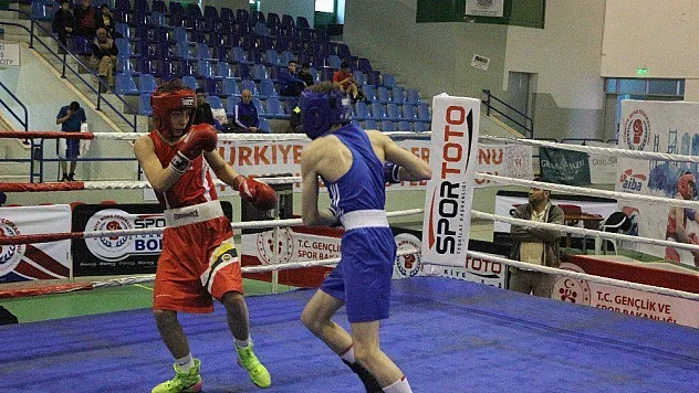 Türkiye Boks Şampiyonası final maçlarıyla sona erdi