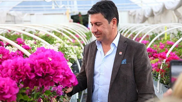 Bodrum'a begonvil festivali geliyor