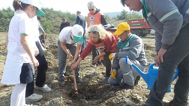 Marmaris'te Dünya Ormancılık Günü ve Orman Haftası etkinlikleri