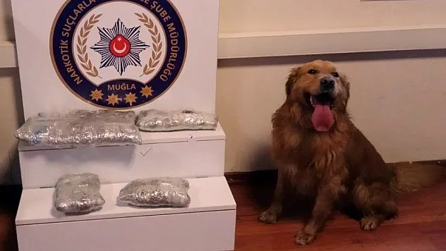 100 bin lira değerinde uyuşturucu ele geçirildi