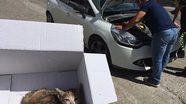 Bodrum'da durdurulan aracın kaputunu açan polisler şok oldu