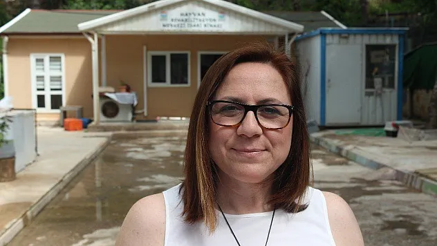 Hayvanseverler Pitbull'un yasaklı ırktan çıkarılmasını istiyor