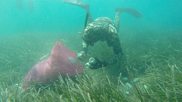 Büyükler denizin dibini, çocuklar sahilleri temizledi