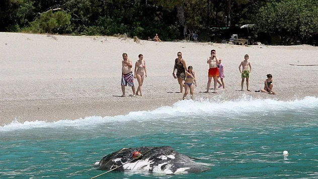 Fethiye'de karaya vurdu, görenler şaştı kaldı