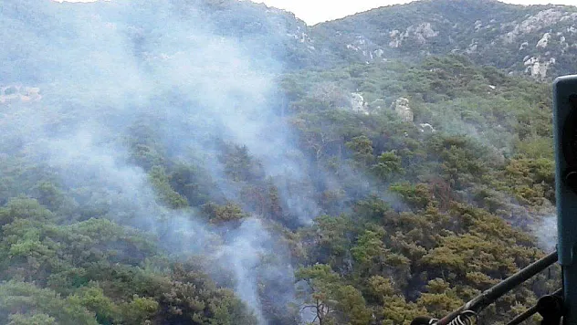 Milas'taki yangında soğutma çalışmaları devam ediyor