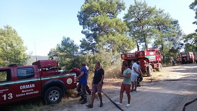 Marmaris'te aynı bölgede 3 günde 3. orman yangını