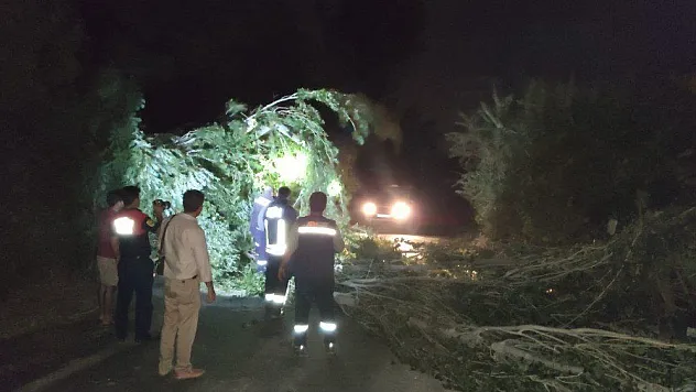 Ağaç dalları devrildi, otomobiller hasar gördü