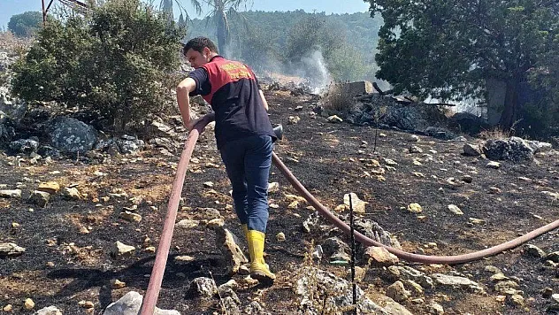 Zeytinlik alanda başlayan yangın korkuttu
