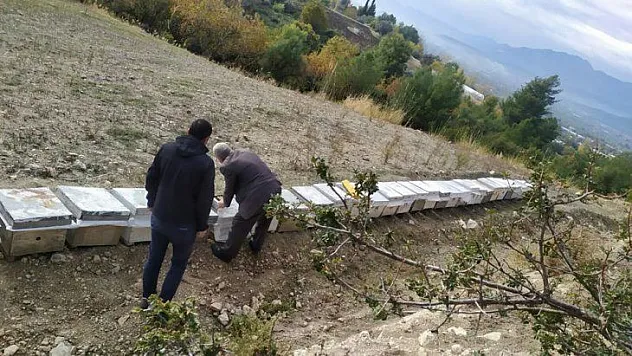 2019 Yılı Arılı Kovan Destekleme Başvuruları Başladı