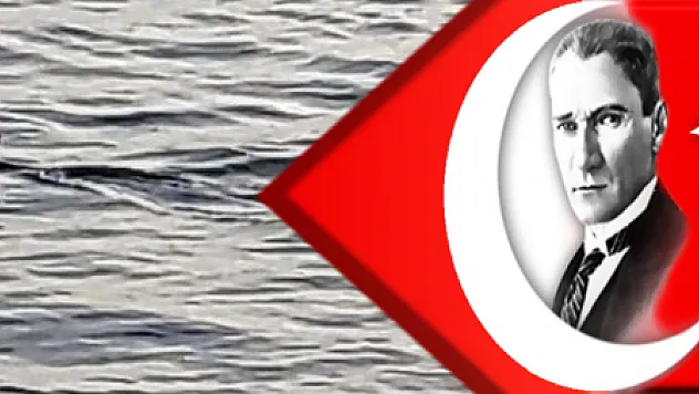 Muğla'da balıkçıların 'köpek balığı' şaşkınlığı