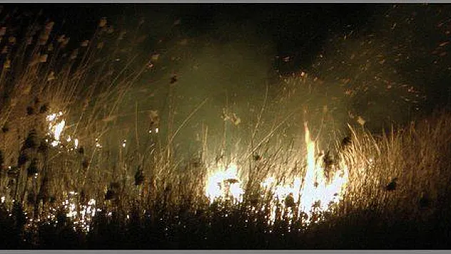  SAZLIK ALANDAKİ YANGINI İTFAİYE SÖNDÜRDÜ