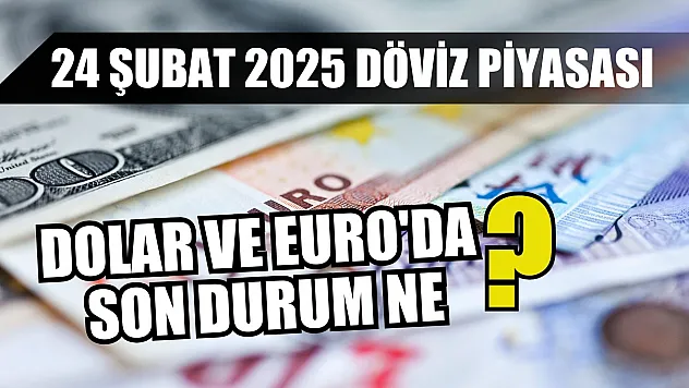 24 Şubat 2025 döviz piyasası: Dolar ve Euro'da son durum ne