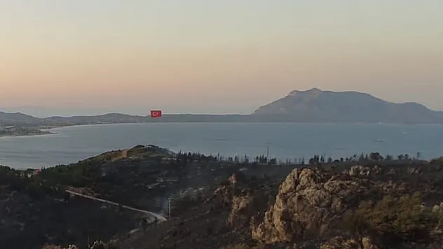 25 hektarlık alan zarar gördü