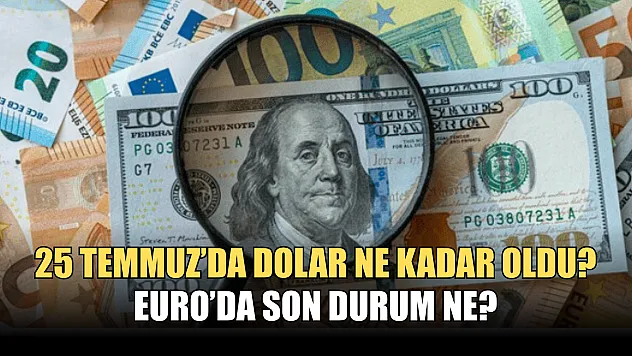 25 Temmuz'da Dolar Ne Kadar Oldu? Euro'da Son Durum Ne?