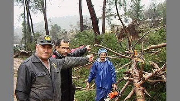 HORTUM ÇAM AĞAÇLARINI DA DEVİRDİ