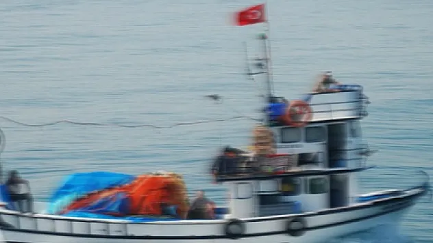 ALCATRAS KARAYA OTURDU...