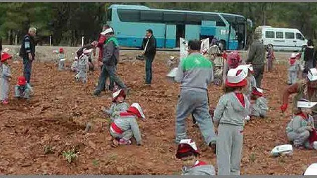 MİNİLİLER FİDAN DİKTİLER