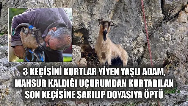 3 keçisini kurtlar yiyen yaşlı adam, mahsur kaldığı uçurumdan kurtarılan son keçisine sarılıp doyasıya öptü