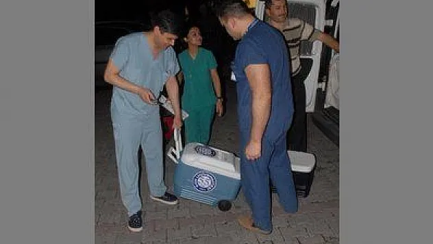 FETHİYE'DE İNGİLİZ BAYAN ÜÇ TÜRK'E HAYAT OLDU