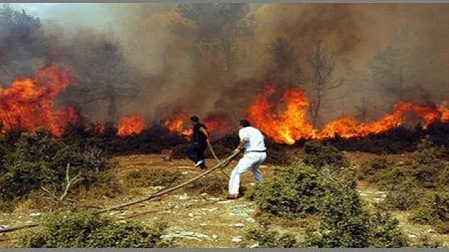 ORMAN YANGINLARINDA BÜYÜK DÜŞÜŞ